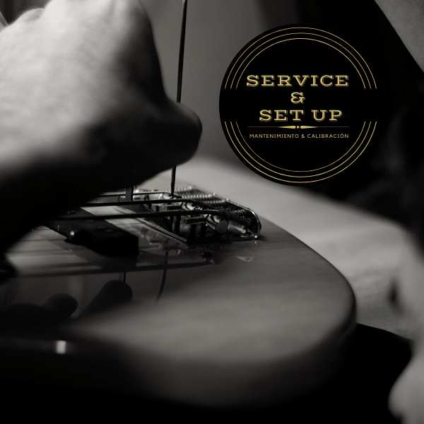 Guitar Tech | Luthier | Servicios | David Quinteros 1