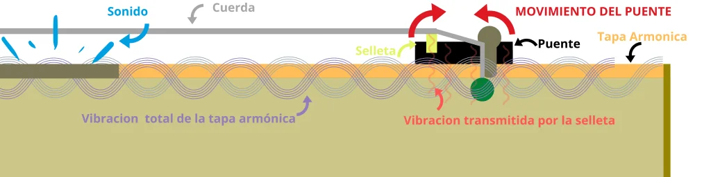 Puente de la guitarra acustica clasica o criolla funcionamiento