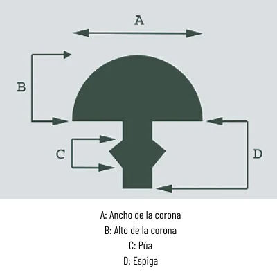 ¿Como elegir nuevos trastes? 4 datos que debes conocer. 9 ¿Como elegir nuevos trastes? 4 datos que debes conocer. 9