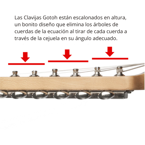 Clavijas Gotoh Staggered-Height 6 en linea 3